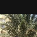  Roman, , 46  -  8  2024