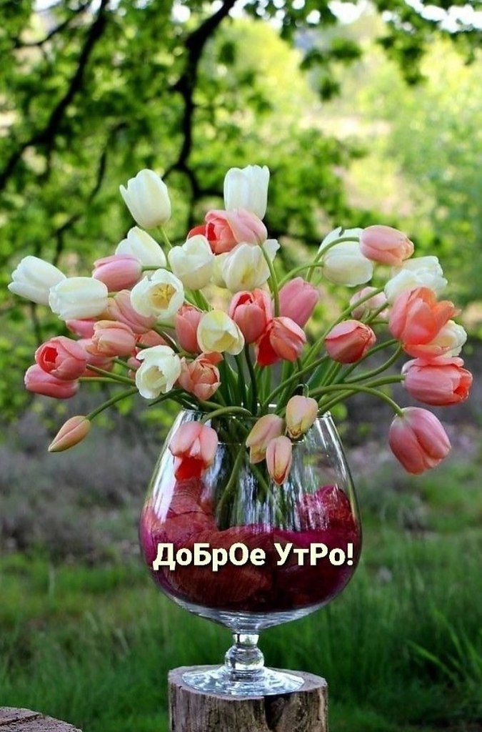   ,    . - 16  2024  22:33