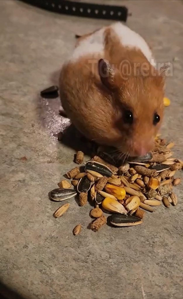 e apcc o, pe a co  ee aaco e. e  po o ...