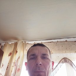 , 50, 