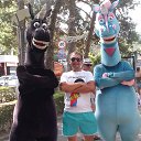 ���� �����, ��������, 36 ��� - ��������� 30 ������ 2025 � ������ ���� ����������