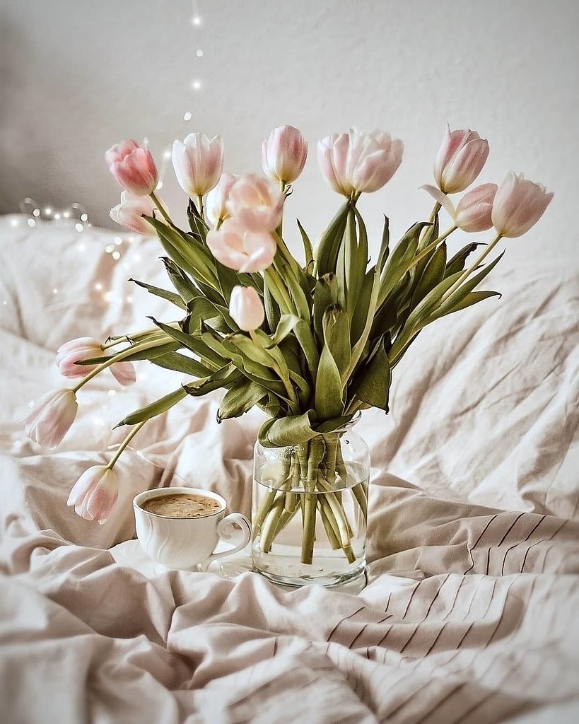 � ������� ������ �������. � �� ����������� � ���� �� ����� �� �������. �� ����������� � ������� ��� ...