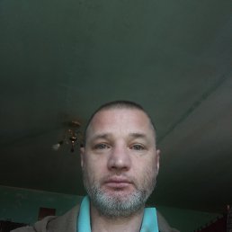 ���� �����, �������, 43 ���� - ��������� 21 ���� 2026