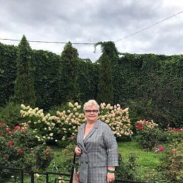 ���� ����, �����-���������, 76 ��� - ��������� 17 ������ 2026