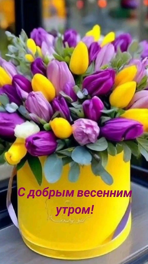 Хорошего четверга желаю всем! Пусть радостно будет на душе у вас с самого утра, пусть настроение ...