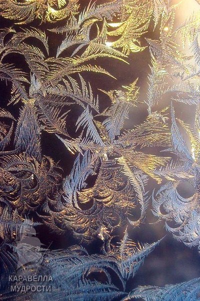 Рисовал на окошке мороз.Мне узоры далёкого лета,Где букетами пахнущих розВся округа была разодета…И ...