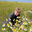 ���� �����, ������, 39 ��� - ��������� 8 ���� 2025 � ������ ���� ����������