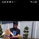 ���� �����, ����, 51 ��� - ��������� 14 ������� 2024 � ������ ���� ����������