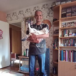 ����, 57 ���, �������