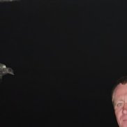 �������, 40 ���, �����