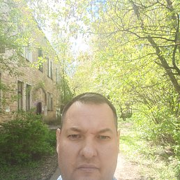 ���� ������, ����������, 37 ��� - ��������� 1 ������ 2024