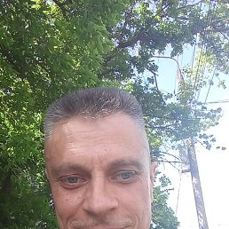 , 46, 