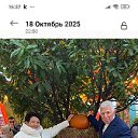 ���� ��������, ������, 66 ��� - ��������� 11 ���� 2026