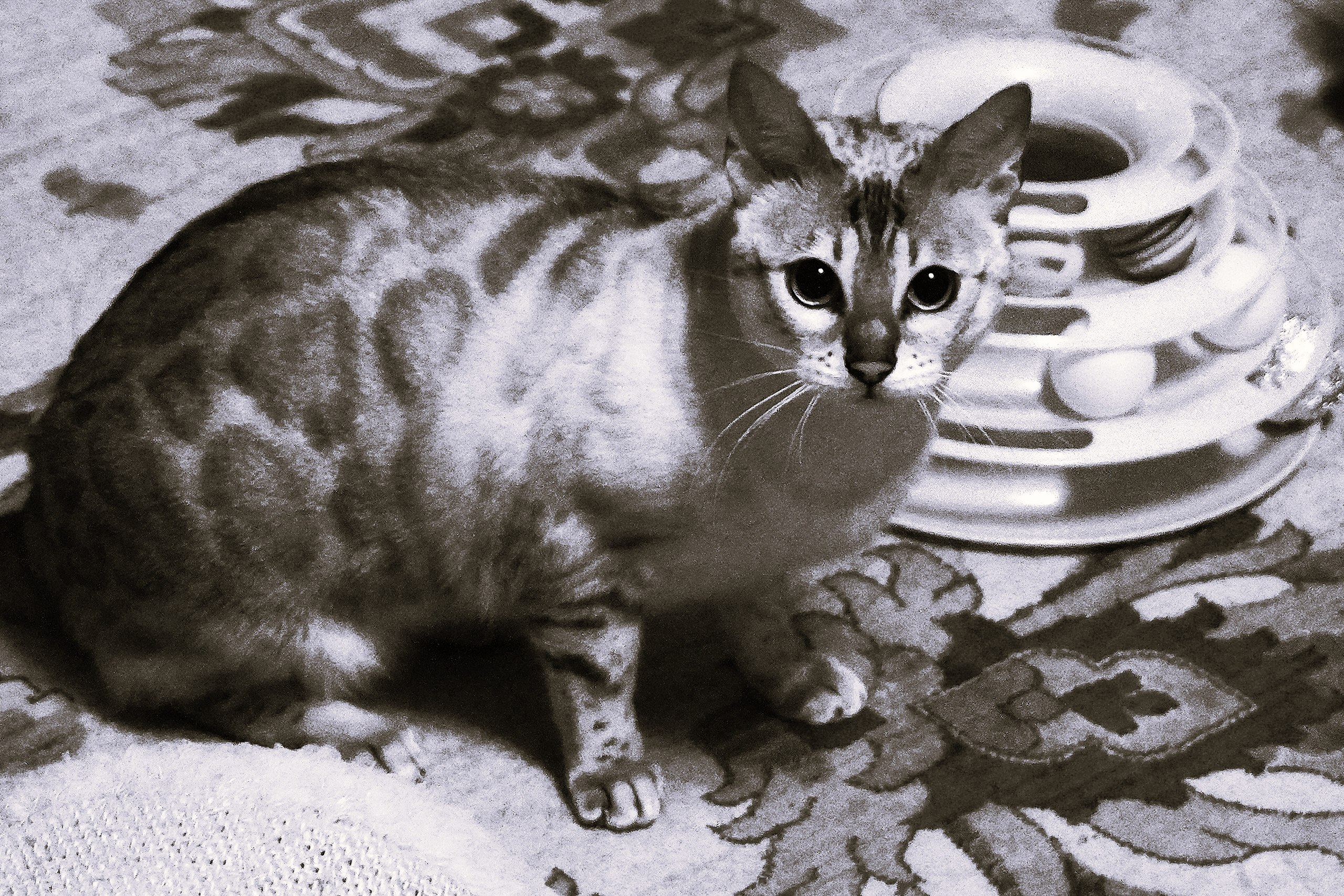 Uegenia Seidel - 6  2025  19:31