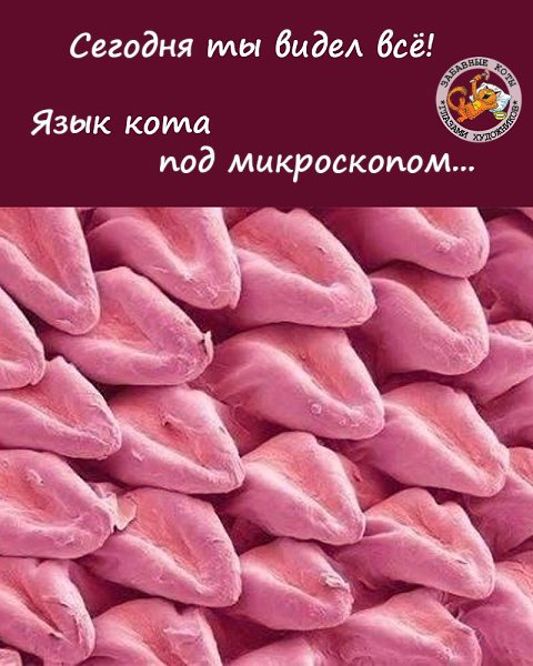  - 9  2023  13:39