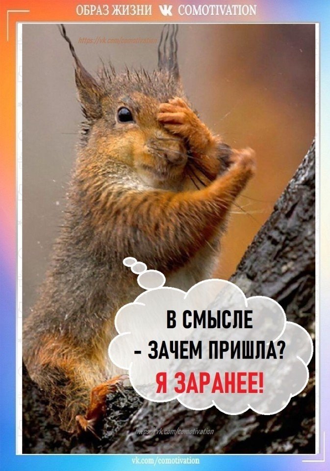 Co-Motivation....����� �����. - 30 ������� 2025 � 22:04