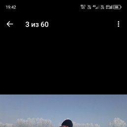 , 31 , 