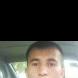 , 33 , 