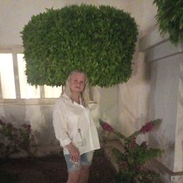 , 53, 