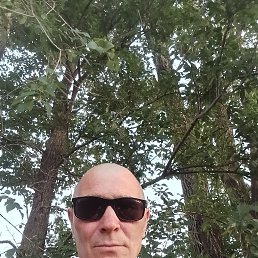 , 53, 