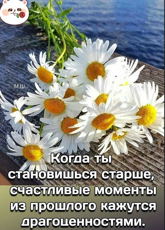 ₪╬═►  ||  ||  ◄═╬₪ - 4  2024  04:42