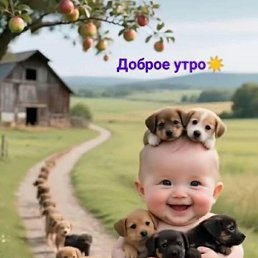���� �����, ���������, 49 ��� - ��������� 13 ����� 2026