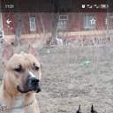 ���� �����, ���� - ��������� 14 ������ 2025 � ������ ������ ��������
