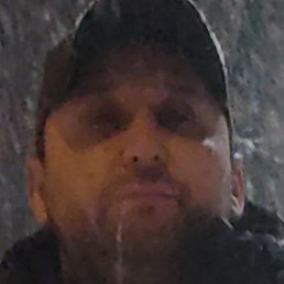 ����, ������, 40 ���