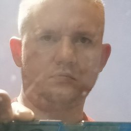 �����, ������, 36 ���