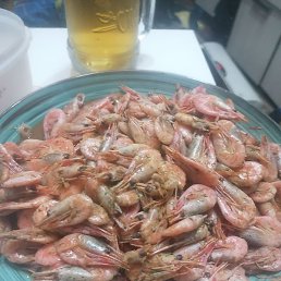 �������, �����������, 54 ����