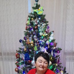 ���� ����, ���������, 66 ��� - ��������� 31 ������ 2024