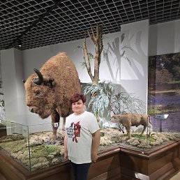 �����, ������, 51 ���