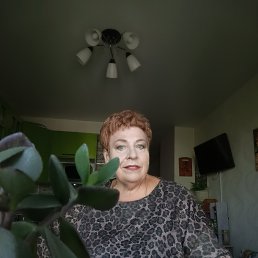 , 61, 