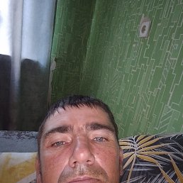 , 37 , 