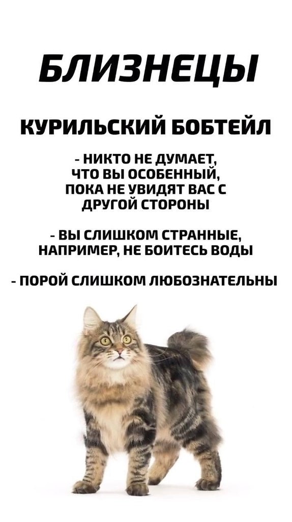      - 4