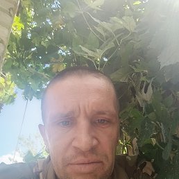 , 37, 