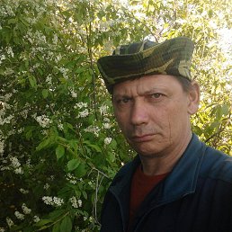 �������, 56 ���, �����������