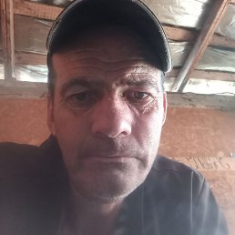 ������, �����, 41 ���