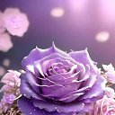 ���� �����, �������, 35 ��� - ��������� 27 ���� 2026 � ������ ���� ����������