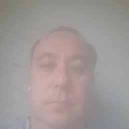, 40, 