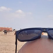 , 40 , 