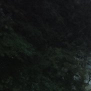 , 46 , 