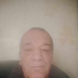 ����������, 51 ���, ���������