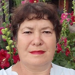 �������, ���������, 65 ���