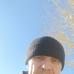 ������, ��������, 40 ���