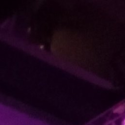 ���������., ������, 38 ���