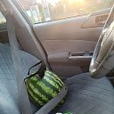 ���� ����, ��������, 23 ���� - ��������� 1 ������ 2025