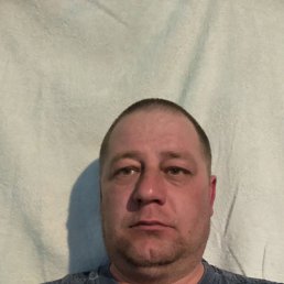 , 41, 