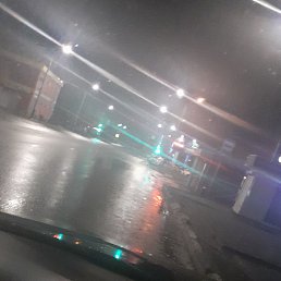 ����, ������, 49 ���