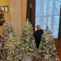 �������, �����, 55 ���